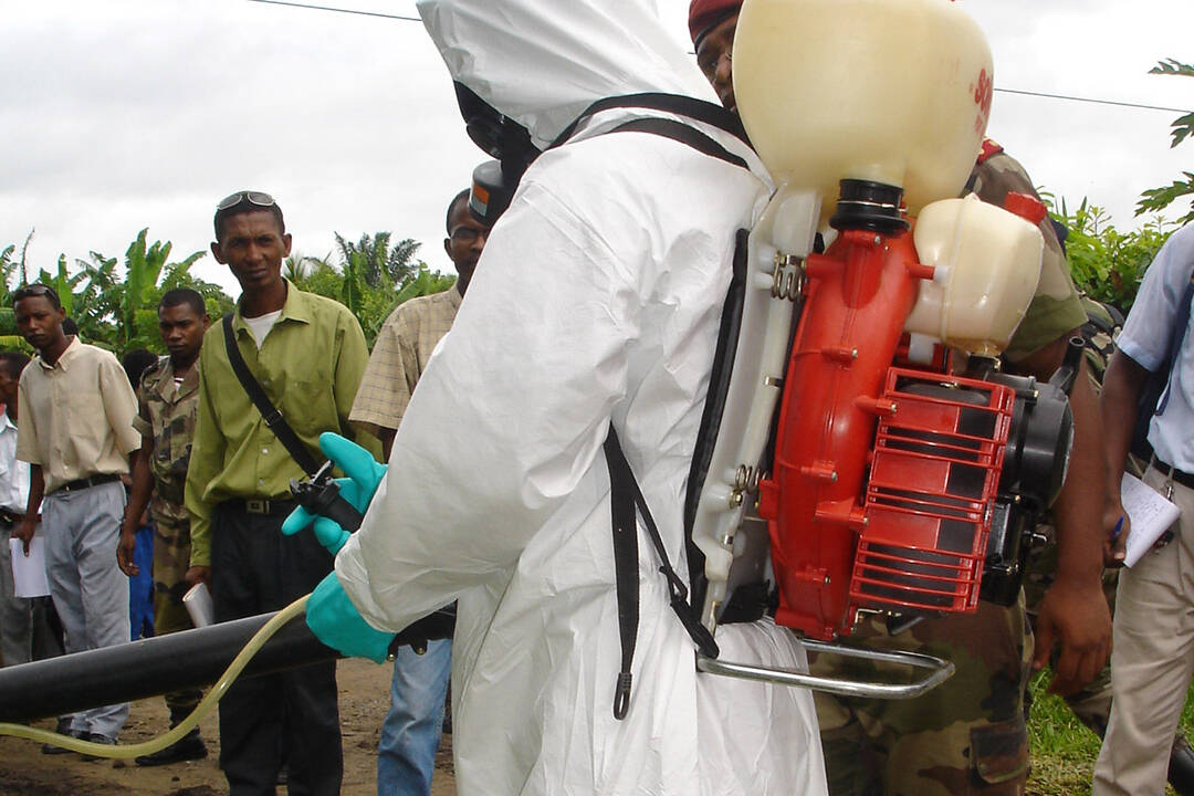 La Réunion lance une vaste enquête sur l’exposition au chikungunya