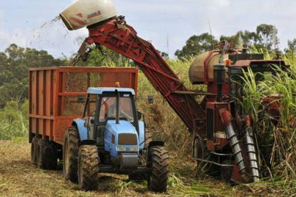 Aides européennes bloquées : le désespoir des jeunes agriculteurs guadeloupéens