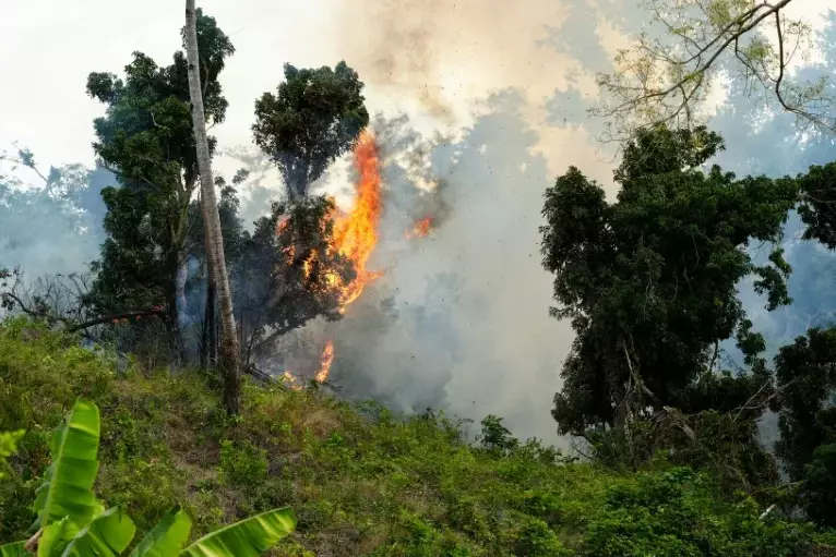 Mayotte étouffe sous les brûlis : 60 hectares partis en fumée en un mois
