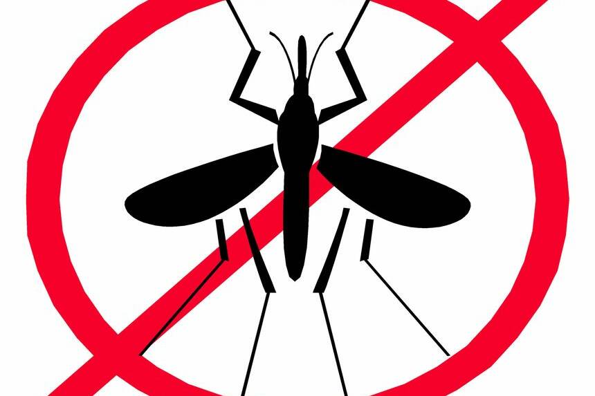 Un seul nouveau cas de Chikungunya en une semaine, l’épidémie ralentit à Mayotte