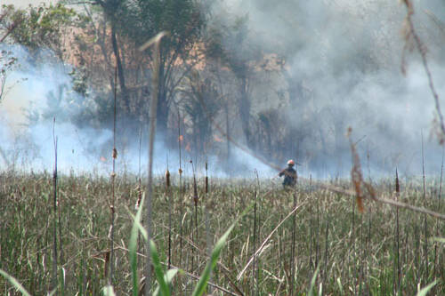 Kourou : un incendie ravage une cinquantaine d’hectares de savanes sur la route de l’Espace