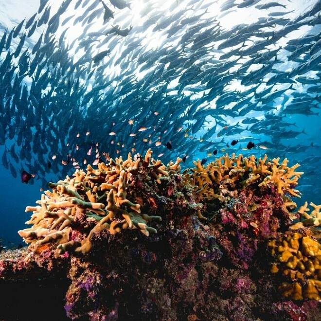 Traité pour la haute mer : une étape décisive pour la protection des océans
