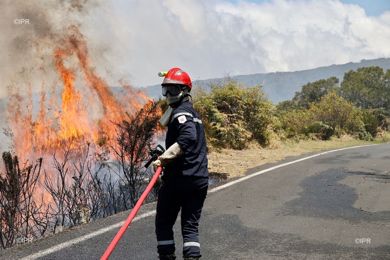 Incendies à Mayotte : la Coordination Rurale Maoré dénonce les ravages du marché agricole informel