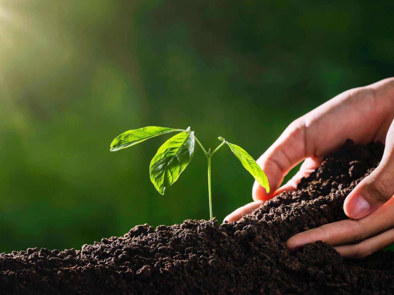 Une grainothèque sème le goût de la nature à l’Étang-Salé
