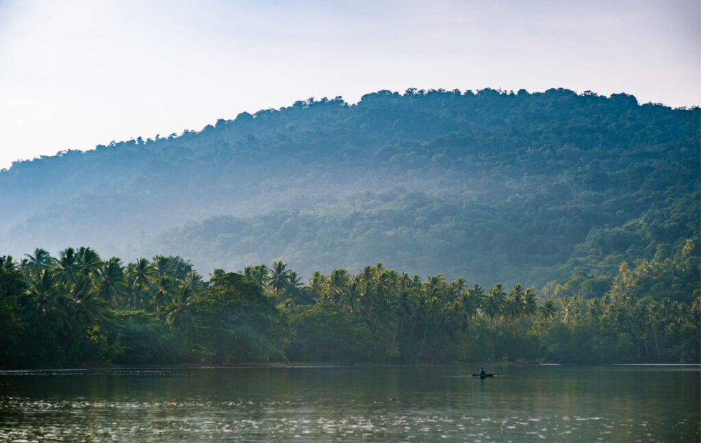 Papouasie-Nouvelle-Guinée : la forêt tropicale en péril sous la pression de l’exploitation illégale