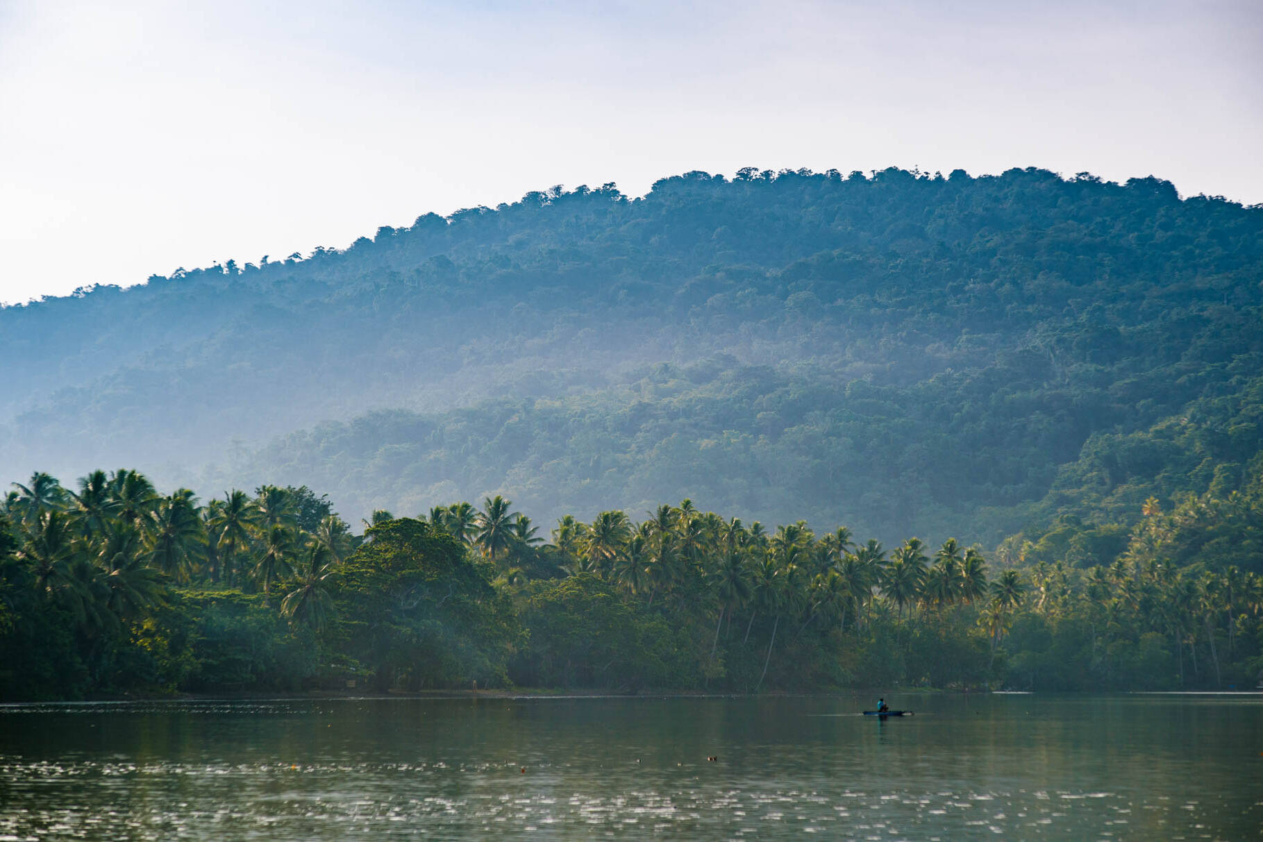 Papouasie-Nouvelle-Guinée : la forêt tropicale en péril sous la pression de l’exploitation illégale