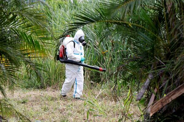 Chikungunya : épidémies ultramarines et flambée des cas autochtones en métropole