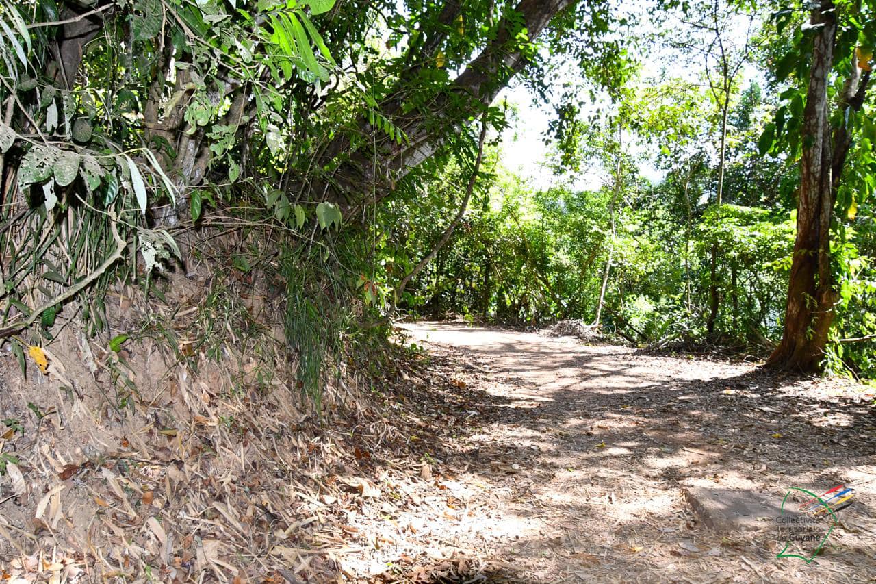 Guyane : joyau touristique, le sentier du Rorota rouvre