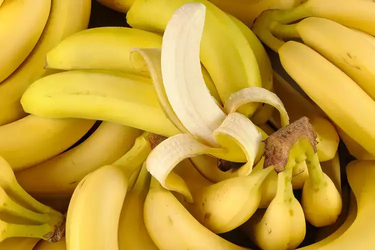 Antilles : un projet pour des bananes résistantes aux maladies