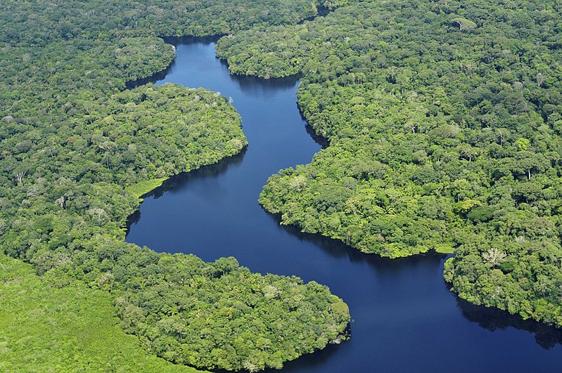 Le rapport « Global Tipping Points 2025 » prévient que plusieurs systèmes planétaires approchent de seuils critiques. Parmi eux, l’Amazonie, dont une partie couvre la Guyane française, pourrait basculer vers une « savanisation » si réchauffement et pressions cumulées s’intensifient. Les auteurs jugent crédible un risque de bascule en dessous de +2 °C, avec des effets en cascade sur les précipitations régionales et les écosystèmes.