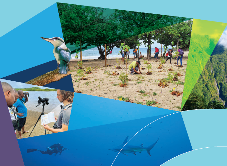 Biodiversité ultramarine TeMeUm 2025. 32 projets locaux financés