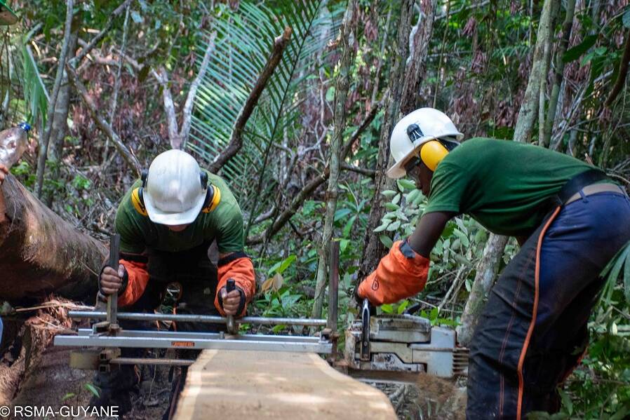 Guyane : Triton démarre l’exploitation des bois immergés du lac de Petit-Saut