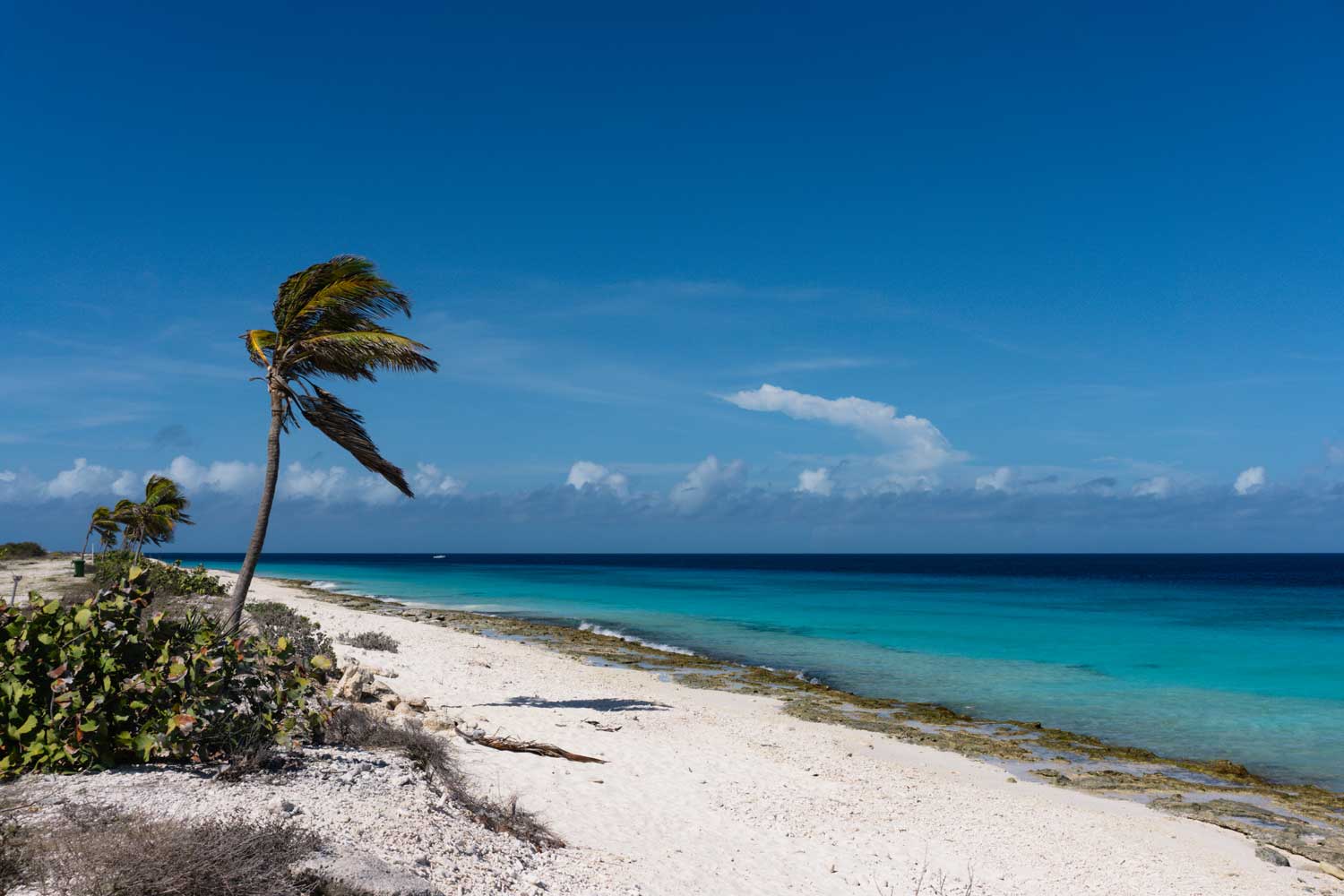 Réchauffement climatique : l’île de Bonaire en procès contre l’État néerlandais