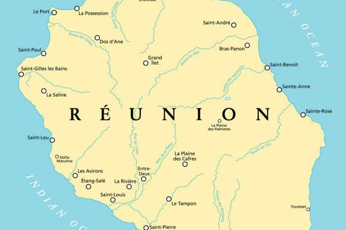 La Réunion : votre député a-t-il voté la motion de censure ?