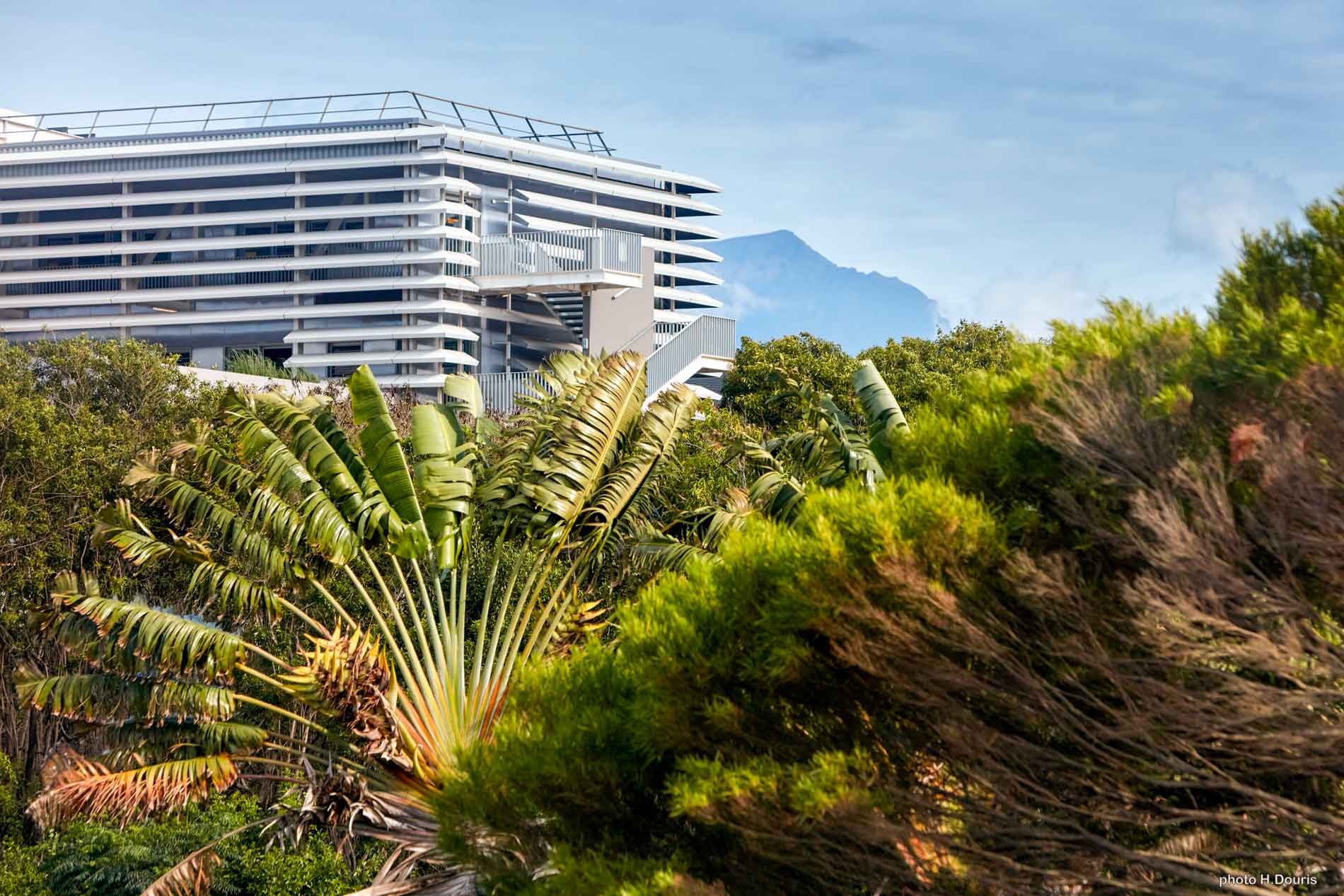 La Réunion : un studio pour bâtir français et durable