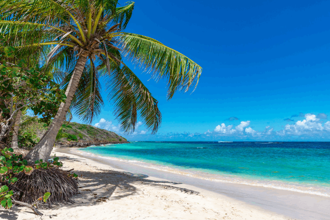 Guadeloupe : retour au calme après le passage de l’onde tropicale n°34