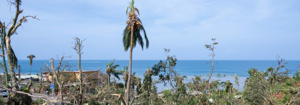 À Kangani, la forêt mahoraise renaît grâce à la persévérance d’un pépiniériste