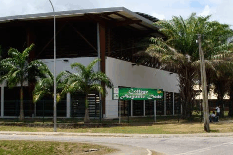 Affaire Auguste Dédé : les députés de Guyane appellent à la mobilisation