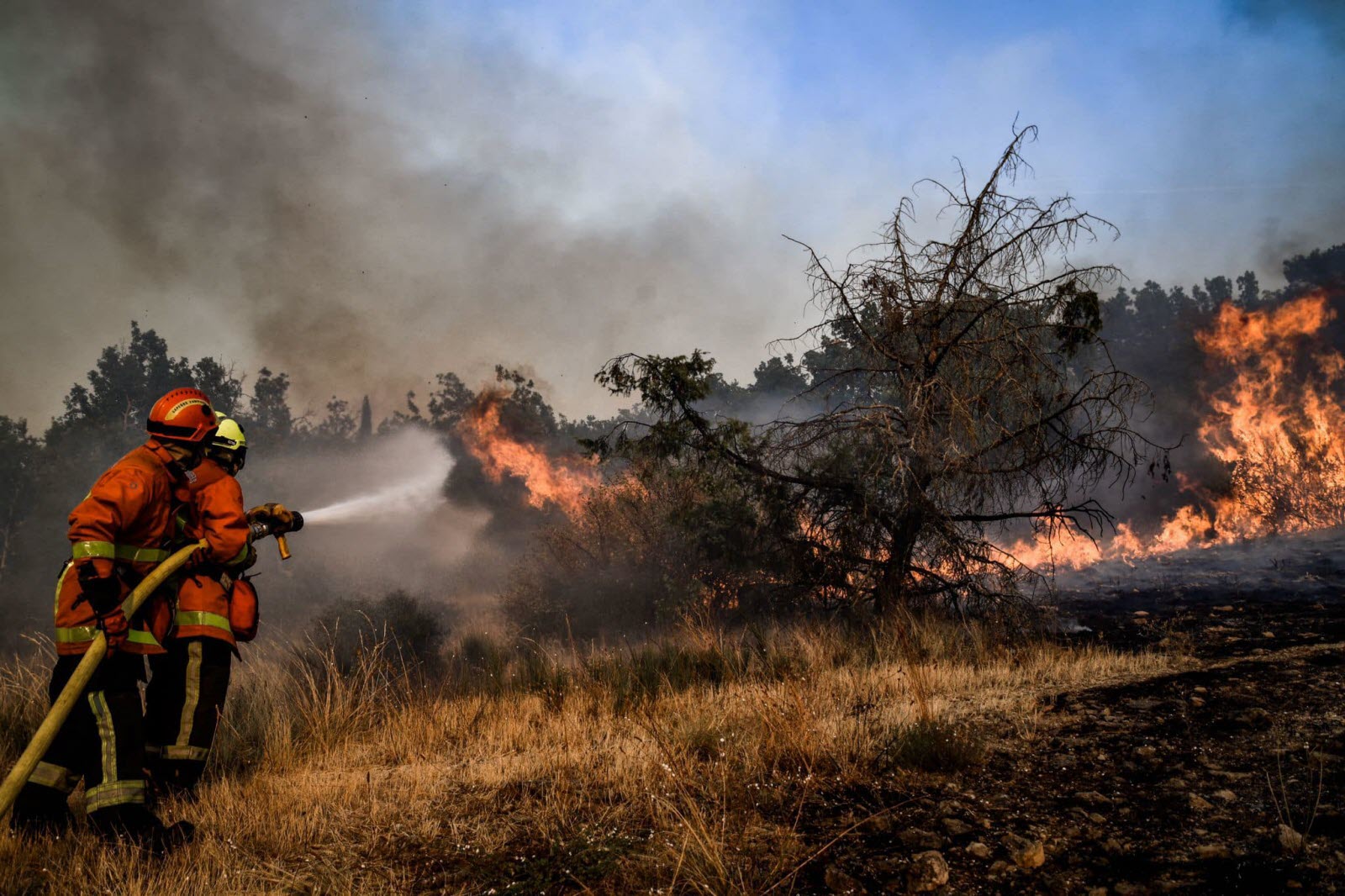 Nouvelle-Calédonie : une cellule spéciale pour lutter contre les feux de forêt
