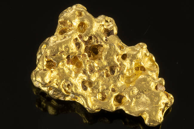 Cambriolage au Muséum d’Histoire naturelle : une Chinoise écrouée après le vol de la première pépite d’or de Guyane
