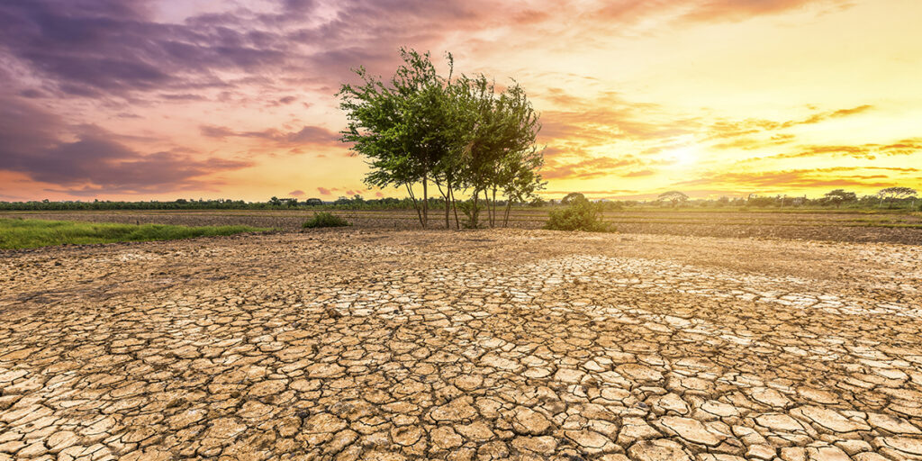 COP30 : l’Université de Guyane clôture son cycle de débats sur l’habitat et le climat