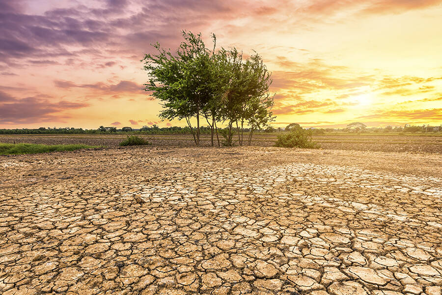 COP30 : l’Université de Guyane clôture son cycle de débats sur l’habitat et le climat