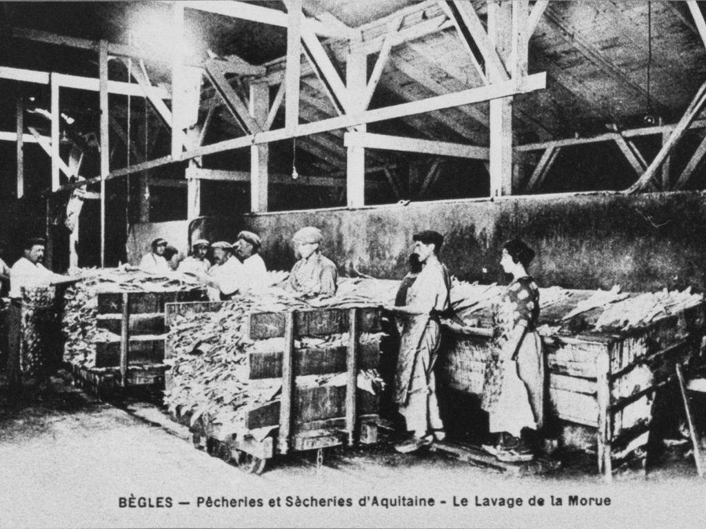 Saint-Pierre-et-Miquelon accueille l’exposition bordelaise sur la « Grande pêche »