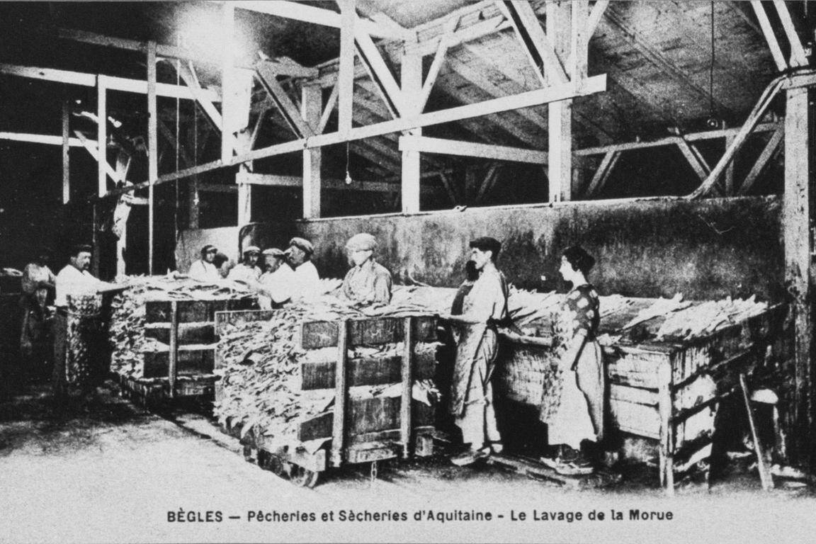 Saint-Pierre-et-Miquelon accueille l’exposition bordelaise sur la « Grande pêche »