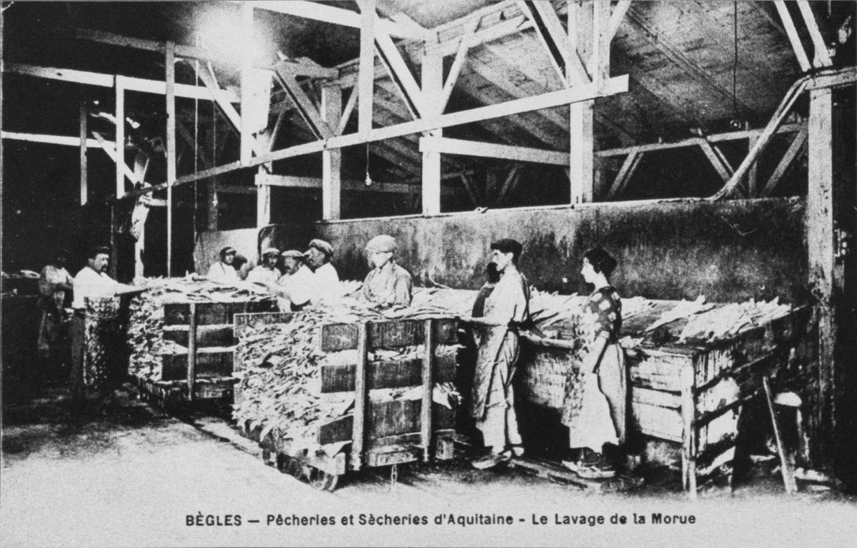 Saint-Pierre-et-Miquelon accueille l’exposition bordelaise sur la « Grande pêche »