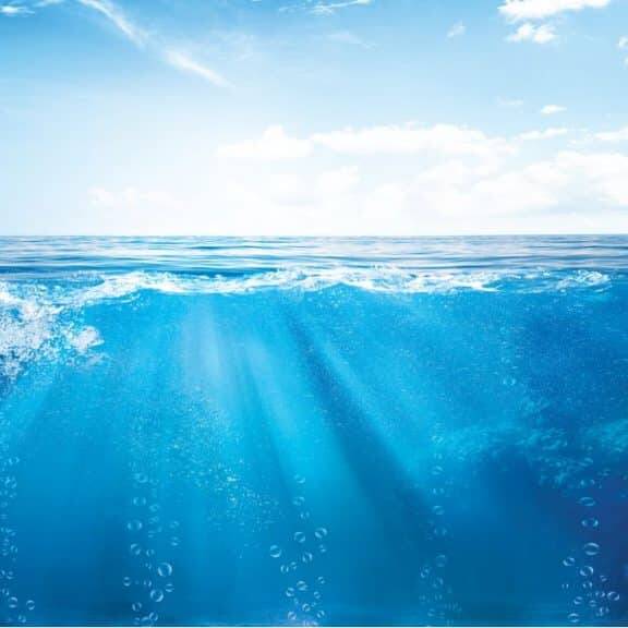 Changement climatique : l’Ifremer et le LEEISA scrutent l’océan pour comprendre l’évolution des écosystèmes guyanais