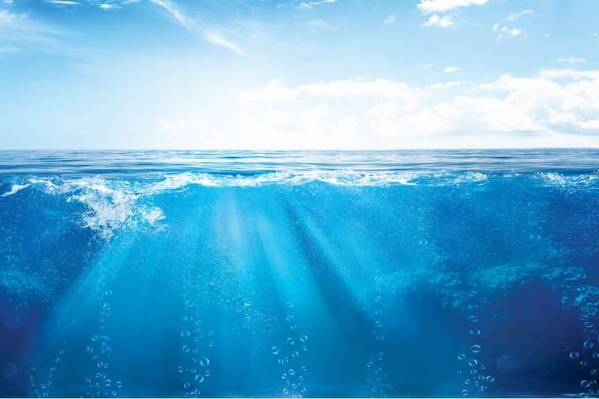 Changement climatique : l’Ifremer et le LEEISA scrutent l’océan pour comprendre l’évolution des écosystèmes guyanais