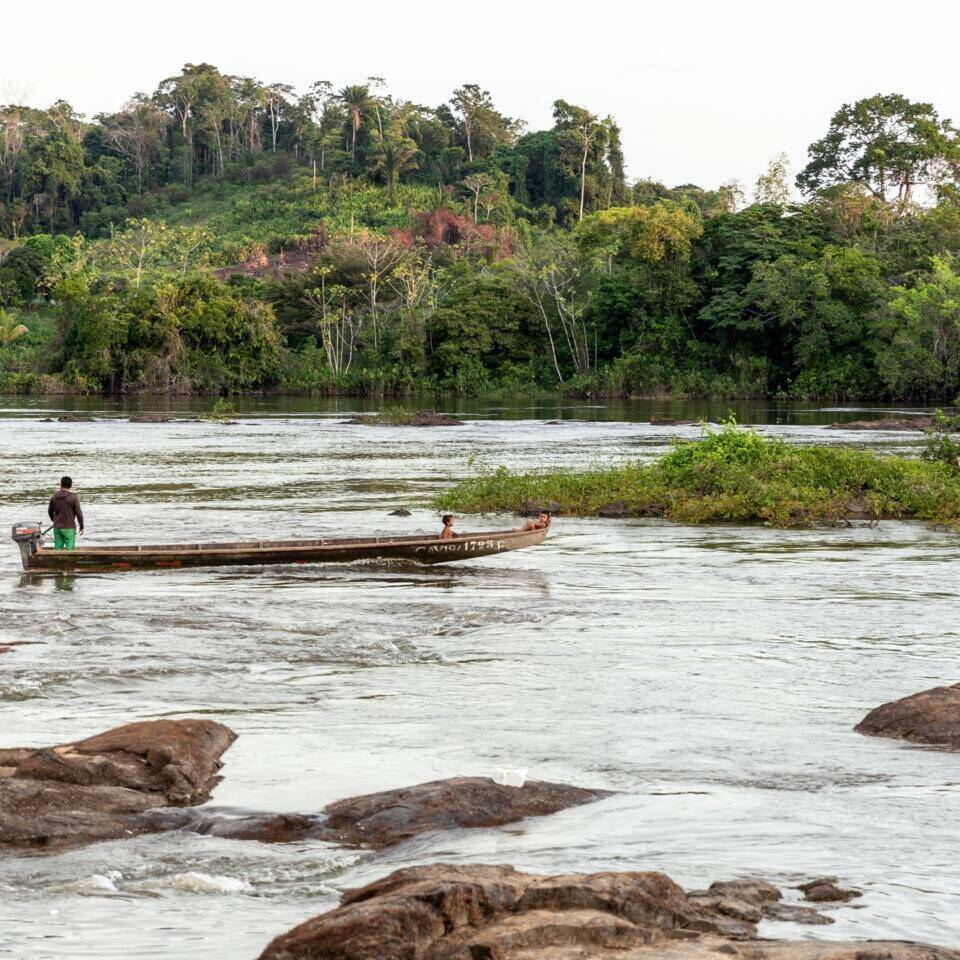 COP30 : la Guyane porte la voix du Haut-Maroni face au fléau de l’orpaillage illégal