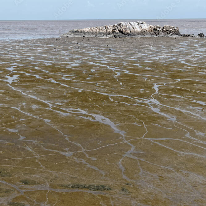 Awala-Yalimapo reste en alerte face aux fortes marées attendues cette semaine