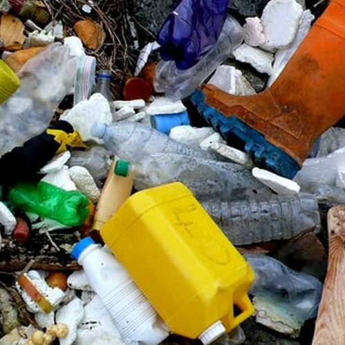 Mayotte : le Sidevam lance le “Novembre Vert” pour une île plus propre et responsable