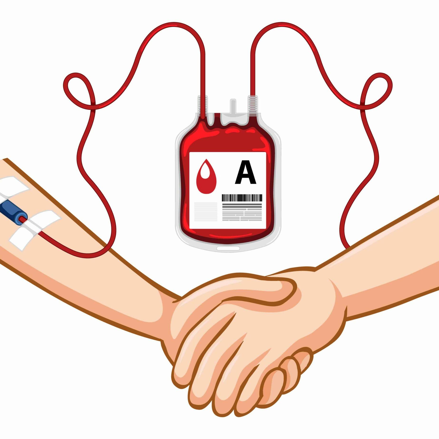 Guadeloupe : l’EFS tire la sonnette d’alarme face à la baisse des dons de sang