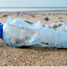 Mayotte, le projet Zéro Plastiques clôturé avec 2 500 sacs de bouteilles récupérés à Nyambadao