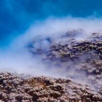 Nouvelle-Calédonie : la féerie de la ponte des coraux illumine les lagons