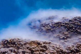 Nouvelle-Calédonie : la féerie de la ponte des coraux illumine les lagons