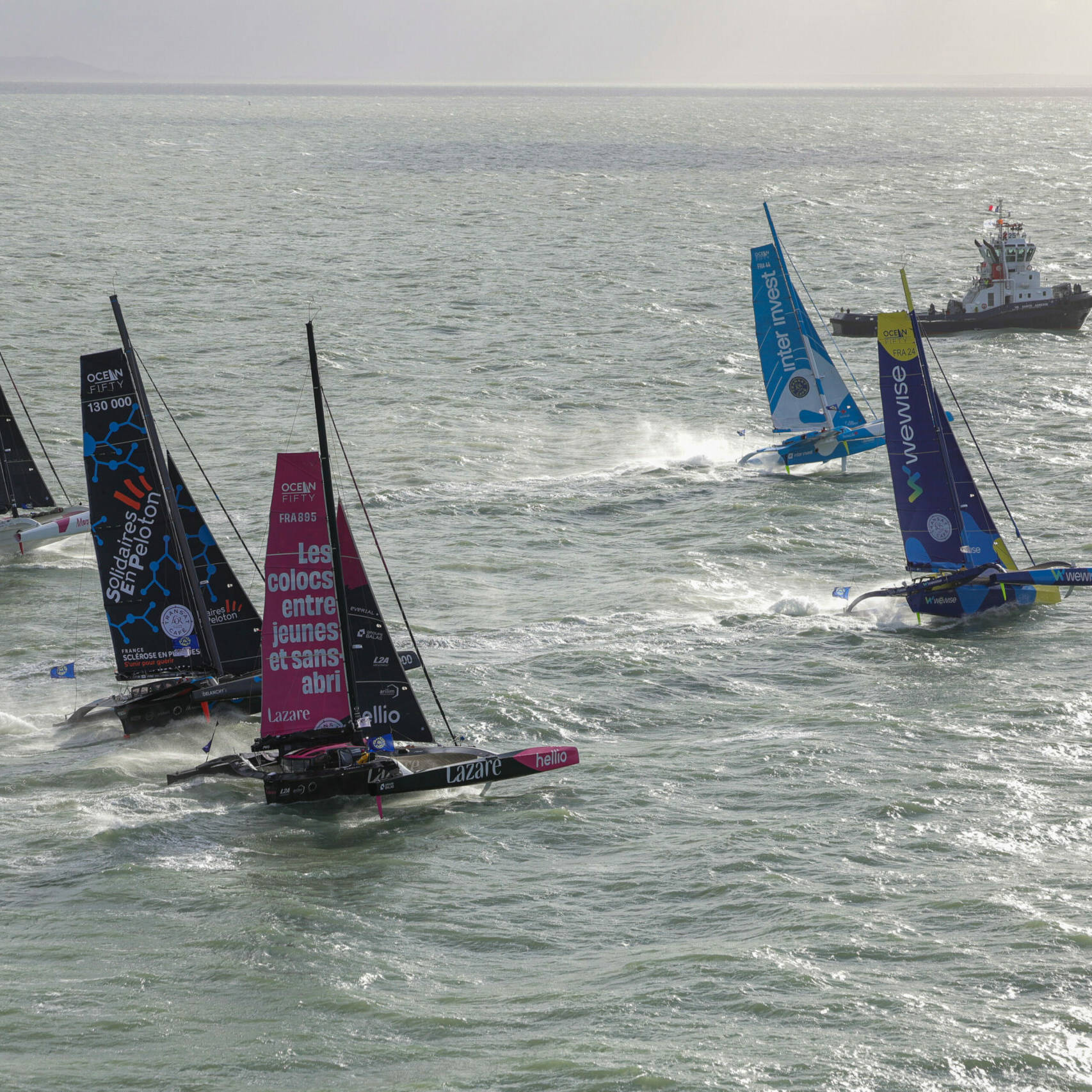 Transat Café L’Or : Fort-de-France accueille les premiers vainqueurs, 18 bateaux déjà à quai
