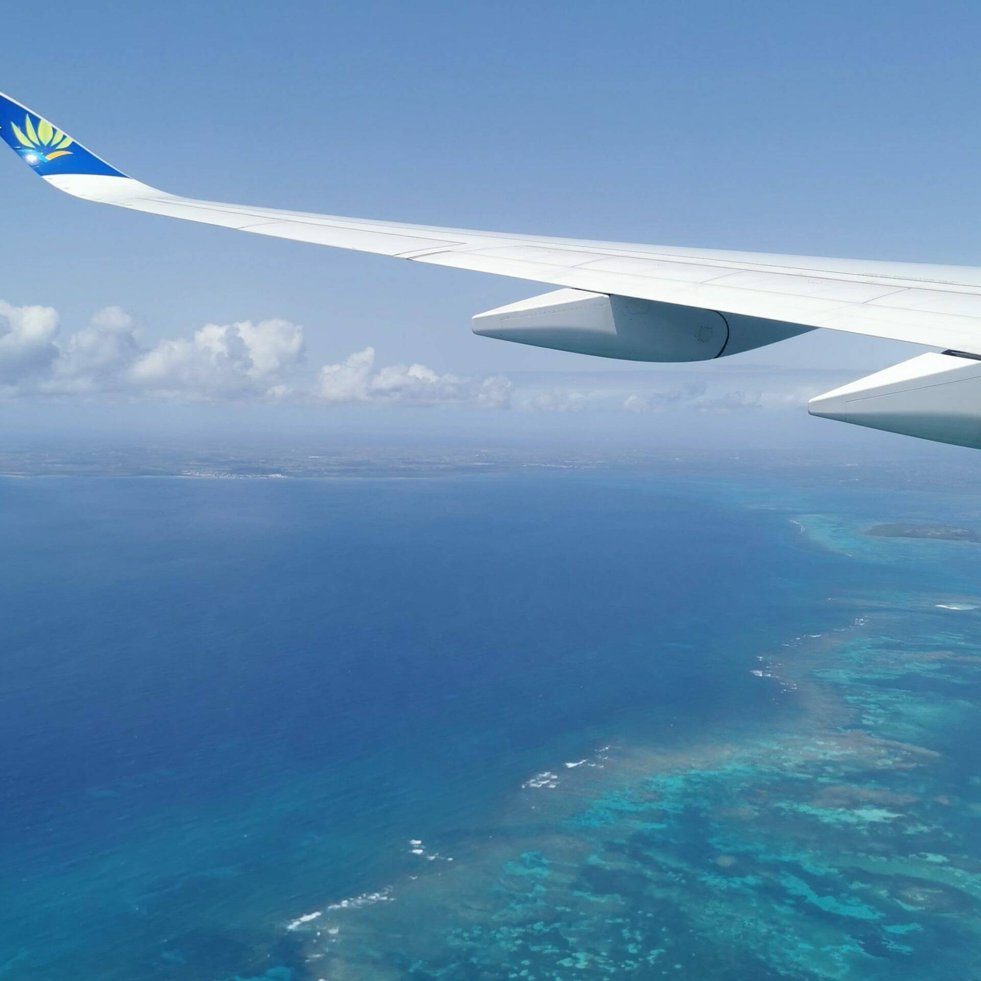 Guadeloupe Maryse Condé : les vols régionaux dopent le trafic en octobre