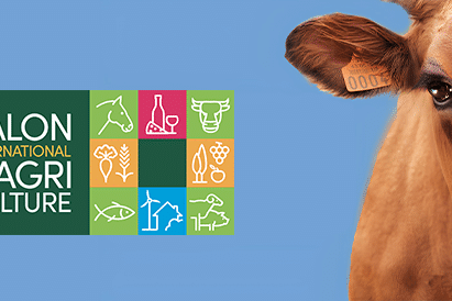 Salon de l’Agriculture 2026 : vache martiniquaise en égérie et pavillon ultramarin incontournable