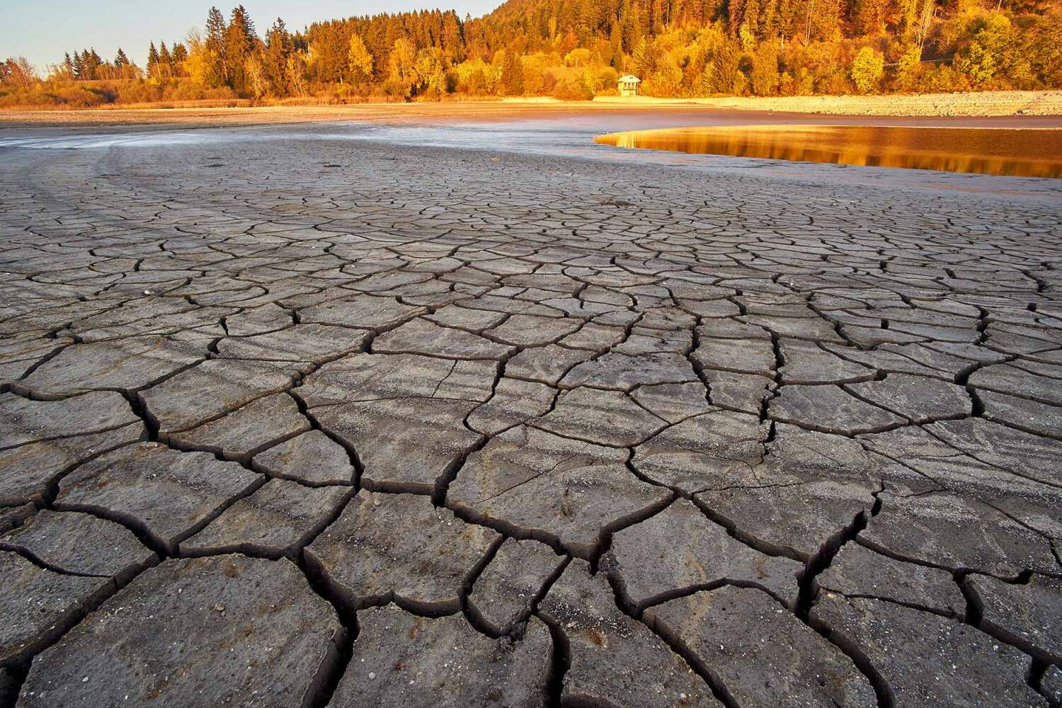 La Réunion face à une sécheresse qui s’installe durablement