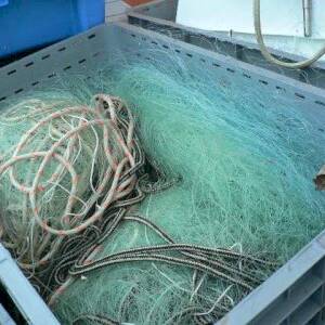 Guadeloupe : le filet trémail bientôt interdit pour préserver la mer et les tortues