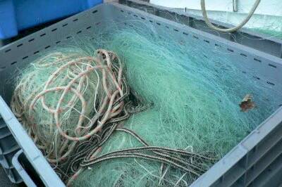 Guadeloupe : le filet trémail bientôt interdit pour préserver la mer et les tortues