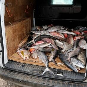 Mayotte : une fraude d’ampleur découverte près de la coopérative de pêche de Mtsapéré