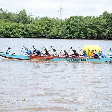 Marathon du fleuve : 163 rameurs relèvent le défi des 42 km à Kourou