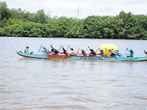 Marathon du fleuve : 163 rameurs relèvent le défi des 42 km à Kourou
