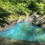 Gourbeyre : dix jours de perturbations dans la distribution d’eau potable