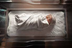 La Guadeloupe mobilisée pour la Journée mondiale de la prématurité