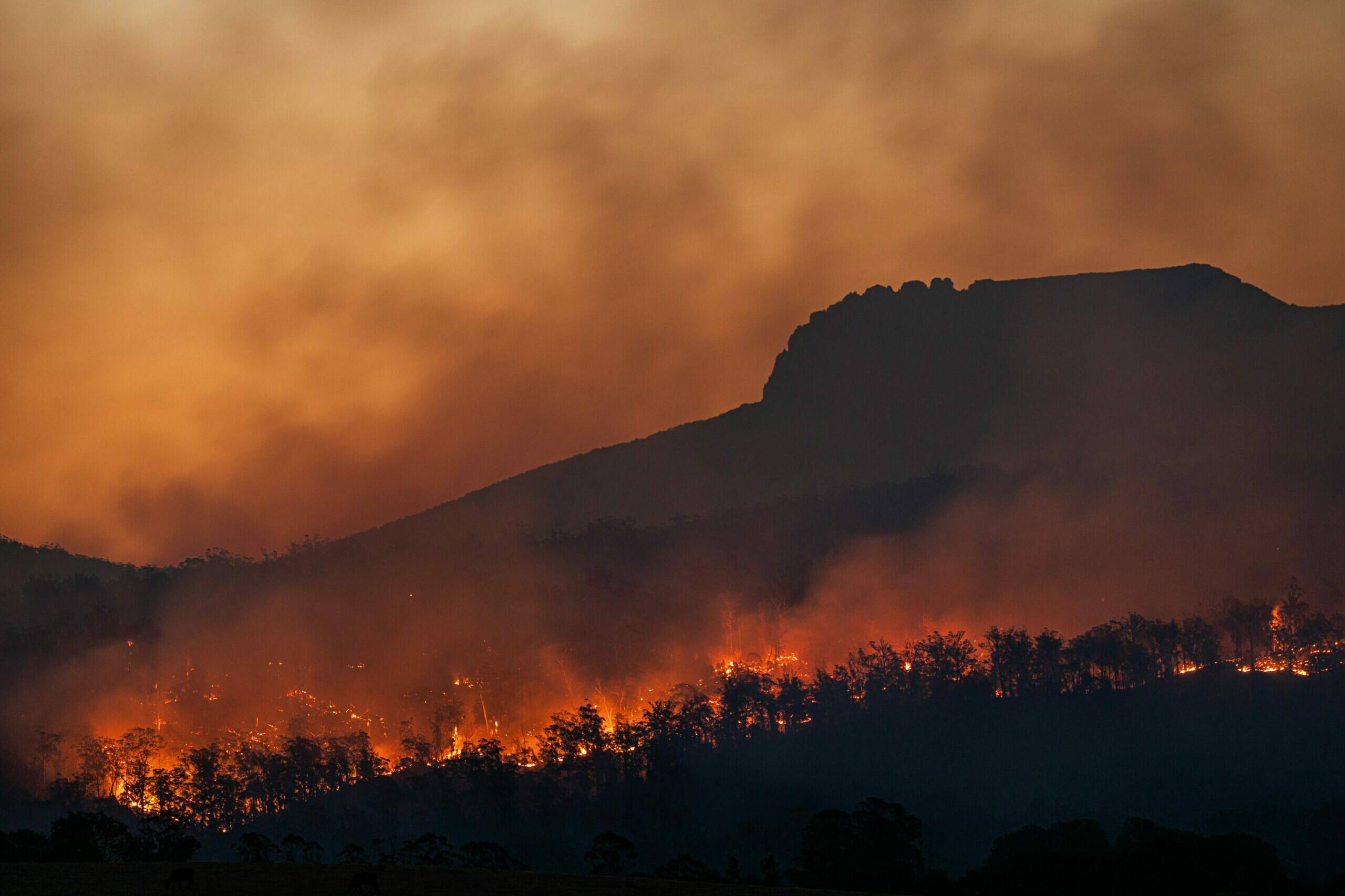 Feu de brousse à Koumac : un incendie maîtrisé après une journée de lutte